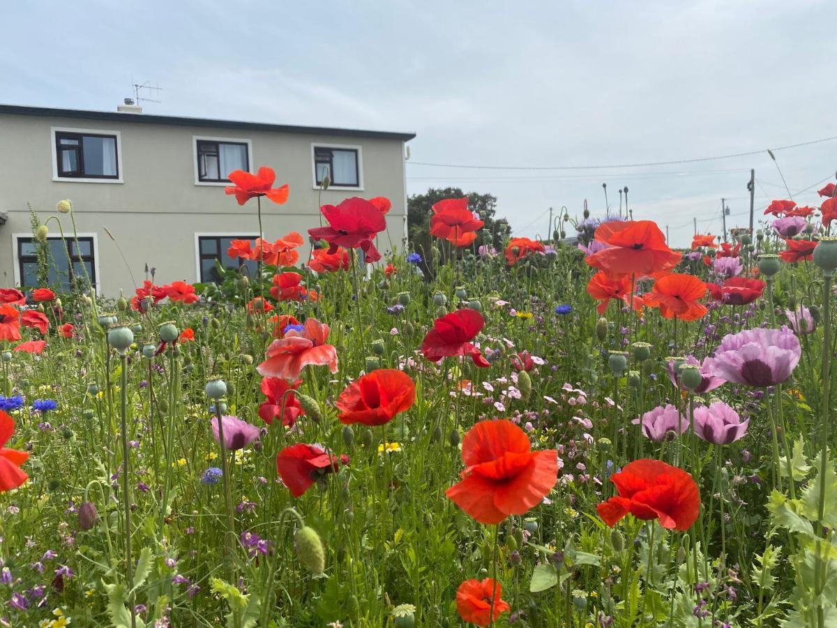Clonmore Lodge B&B Quilty Zewnętrze zdjęcie