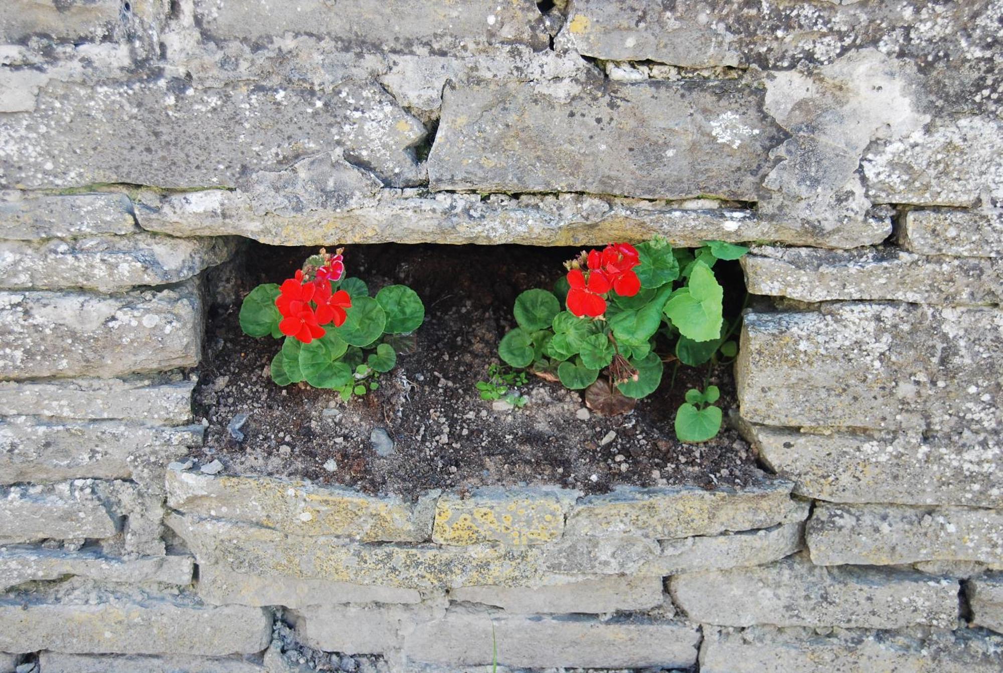Clonmore Lodge B&B Quilty Zewnętrze zdjęcie