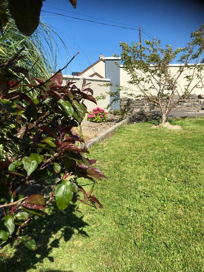 Clonmore Lodge B&B Quilty Zewnętrze zdjęcie