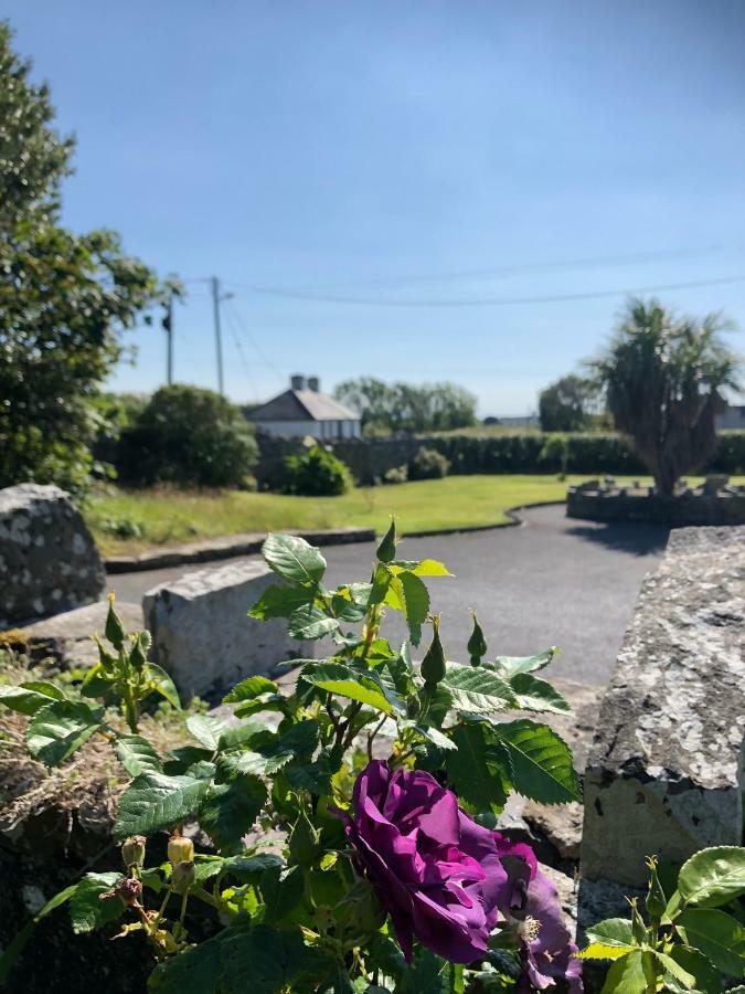 Clonmore Lodge B&B Quilty Zewnętrze zdjęcie